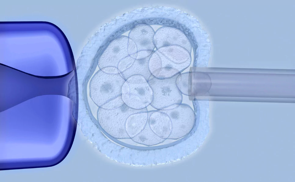 gene-editing-in-embryo