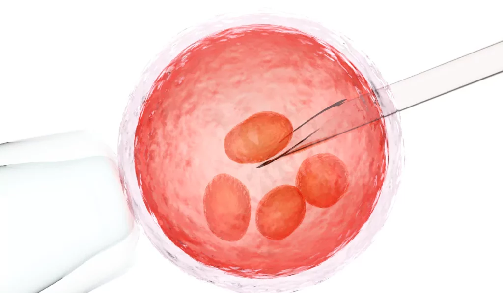 genetic infertility ivf treatment