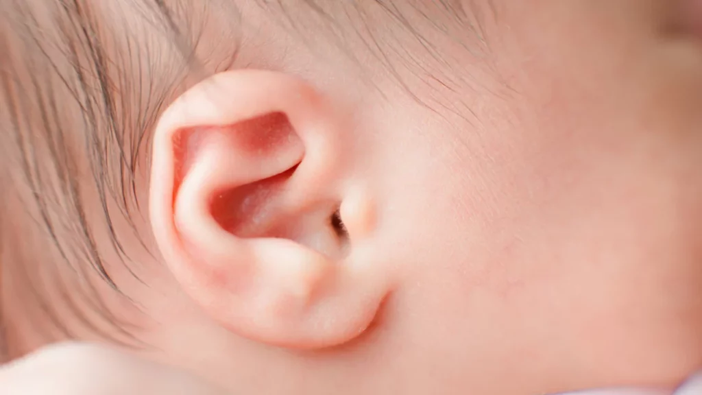 baby-ear-lobe-calculator